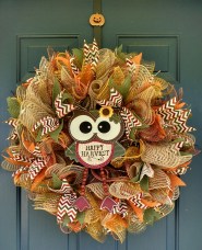 Harvest Owl